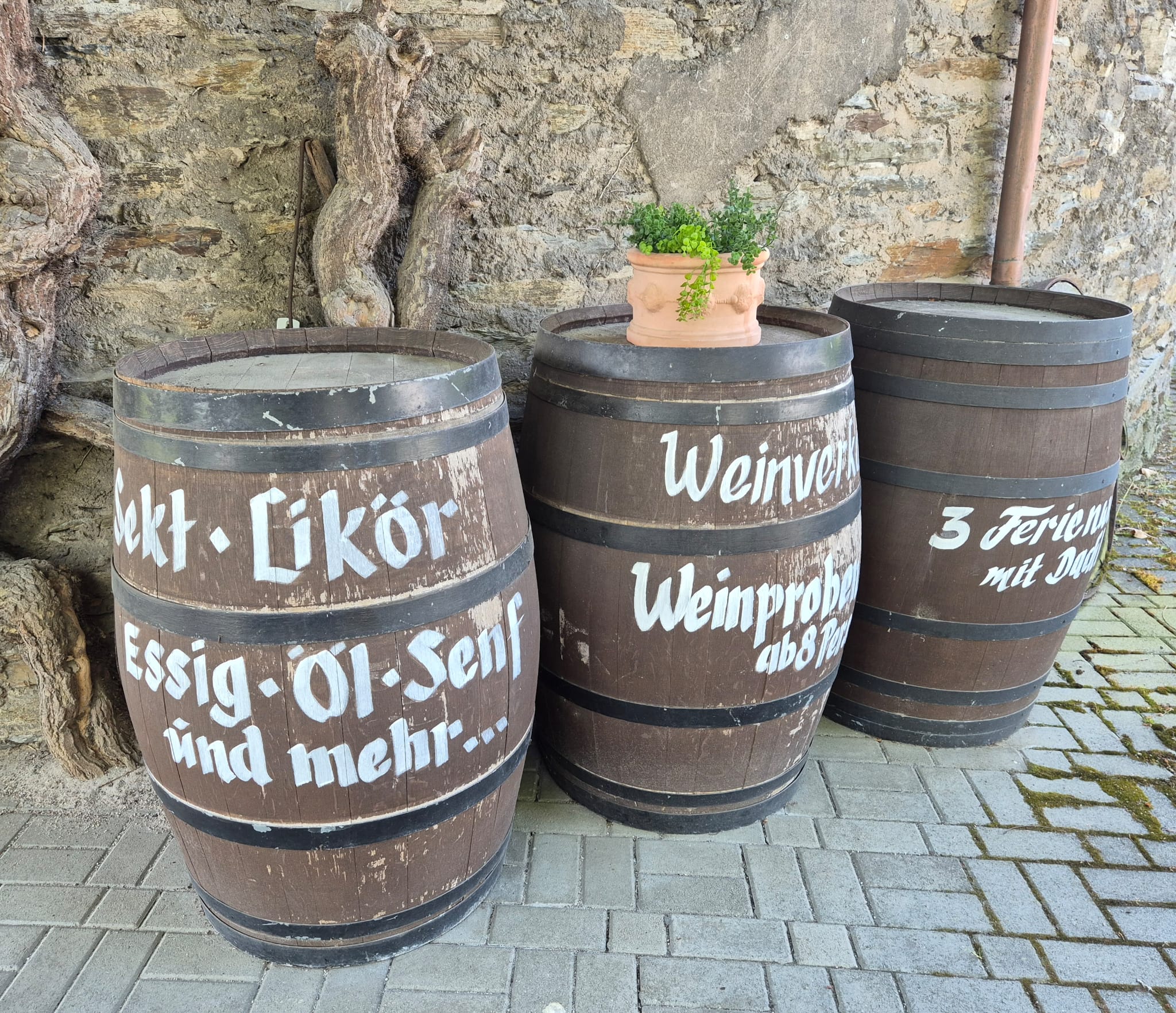 Weinprobe in Boppard